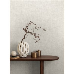 Papeldecor|Papier peint uni stuc texturé beige|Locaux commerciaux 2