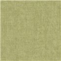 Papeldecor|Plain textured stucco wallpaper green|Commercial Premises
