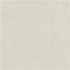 Papeldecor|Papier peint uni stuc texturé beige|Locaux commerciaux