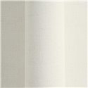 Papeldecor|Plain textured wallpaper beige cream|Solid Colors