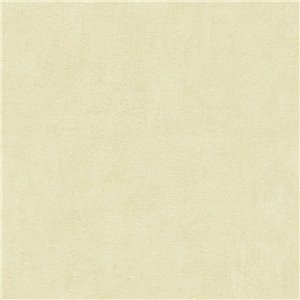 Papeldecor|Papier peint uni effet plâtre gris|Locaux commerciaux