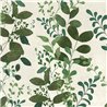 Papeldecor|Climbing plant wallpaper green|Floral