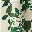 Papeldecor|Papel pintado plantas trepadoras verde|Floral