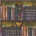 Papeldecor|Vintage Bibliothek Tapete mehrfarbig|Versatile
