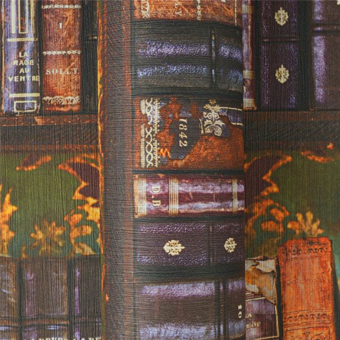 Papeldecor|Vintage Bibliothek Tapete mehrfarbig|Versatile