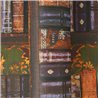 Papeldecor|Vintage library wallpaper multicolour|Versatile