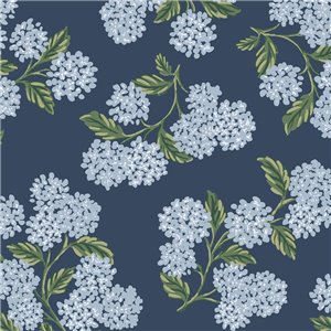 Rifle Paper|Papeldecor