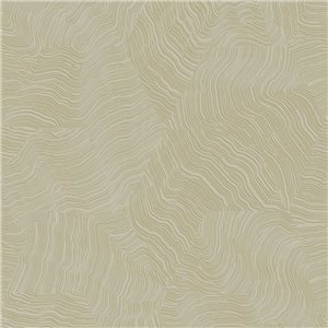 Papel pintado ondulado efecto moiré negro moderno - Casadeco Elixir 202029780