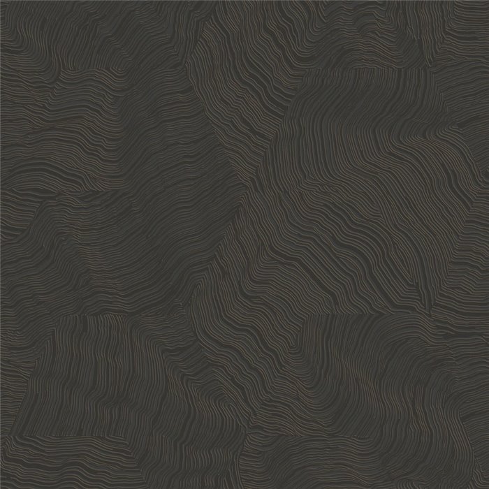 Wavy moire effect wallpaper black modern - Casadeco Elixir 202029780