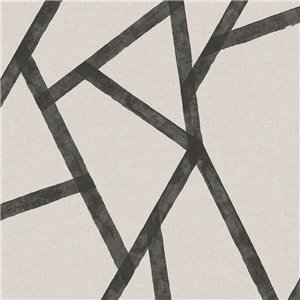 Papier peint para salon moderne noir blanc