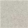 Stucco Design Light Grey Wallpaper