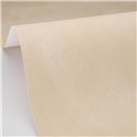 Papier peint beige à texture subtile · Caselio Chalk 106081387