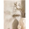 Beige smooth stucco effect wallpaper · Caselio Chalk 106081678