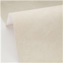 Papel pintado liso efecto estuco beige · Caselio Chalk 106081678