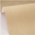 Papel pintado beige efecto yeso · Caselio Chalk 106081681