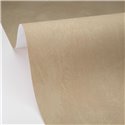 Beige Tapete mit subtiler diffuser Textur · Caselio Chalk 106081717