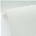Soft Green Stucco Texture Wallpaper · Caselio Chalk 106086100
