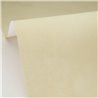 Papier peint beige à texture stuc · Caselio Chalk 106087170