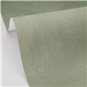 Papier peint effet stuc vert · Caselio Chalk 106087456