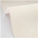 Papel pintado beige con textura de yeso · Caselio Chalk 106089120