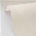 Beige plaster texture wallpaper · Caselio Chalk 106089232