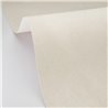 Beige plaster texture wallpaper · Caselio Chalk 106089232