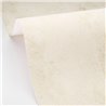 Papier peint effet plâtre beige clair · Caselio Chalk 106990000