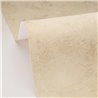 Papel pintado textura yeso beige · Caselio Chalk 106991010