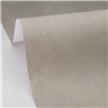Papier peint effet ciment gris clair · Caselio Chalk 106991129