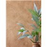 Papier peint effet stuc marron chaud · Caselio Chalk 106992045