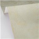 Papel pintado con textura de estuco en beige · Caselio Chalk 106997027