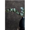 Papier peint texturé sombre style industriel · Caselio Chalk 106999002