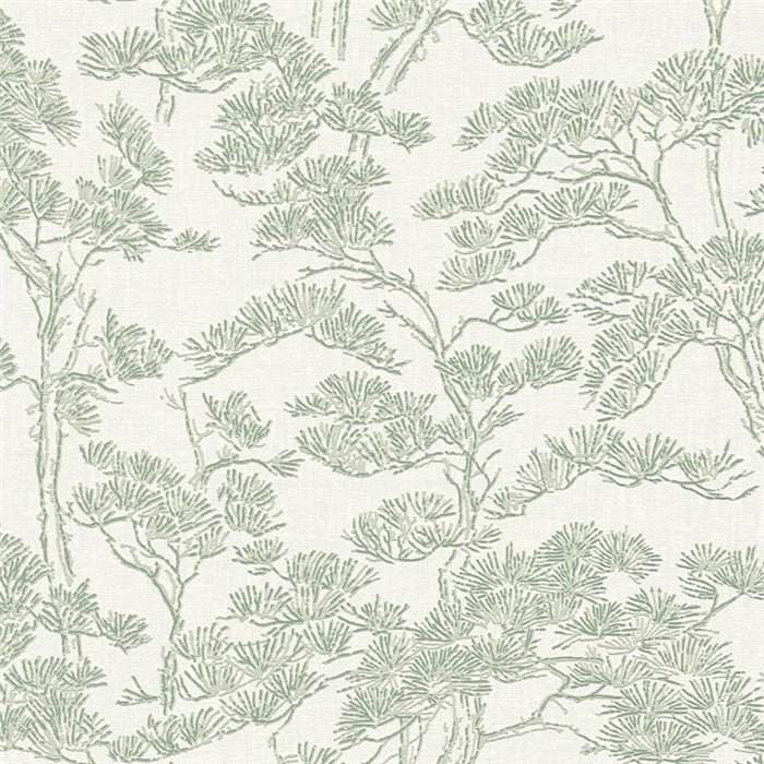 Papier peint branches de pin vert mousse ·  2029790013