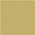 Papier peint uni jaune avec texture naturelle ·  2029792025