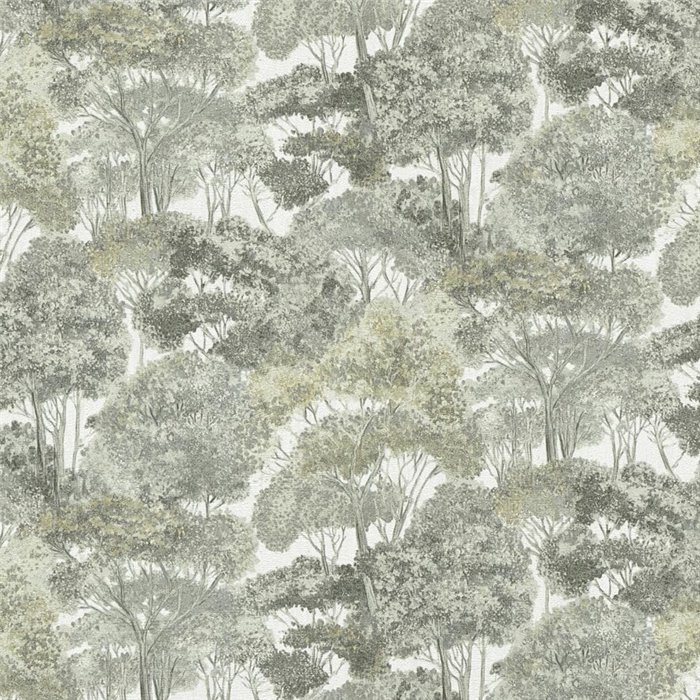 Forest wallpaper in gray tones ·  792275