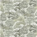 Forest wallpaper in gray tones ·  792275