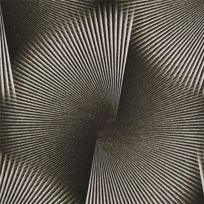Papier peint effet optique 3D moderne en noir et gris ·  792523
