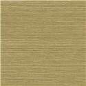 Tapete Sisal-Optik grün mit Pflanzenfaser-Effekt · Casamance Racines 78212854