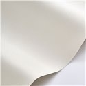 Papel pintado fibra vegetal blanco · Casadeco Hansan 202520123