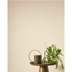 Papel pintado fibra de ramio beige 2