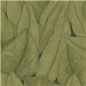 Papel pintado vegetal de hojas envolventes · Casadeco Canopée 202647667