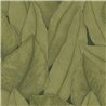 Papel pintado vegetal de hojas envolventes