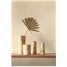 Beige Tapete mit feiner Blattstruktur · Casadeco Canopée 202660101