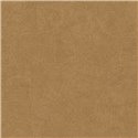 Papel pintado orgánico de hojas finas · Casadeco Canopée 202662716