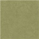 Papier peint feuillage vert doux · Casadeco Canopée 202667654