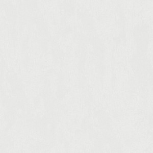 Elitis|Papier peint soie orientale blanche à texture textile|Papier Peint