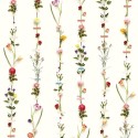 Pip Studio|Wall mural romantic field flowers|Wallmurals