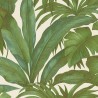 Versace|Papier peint tropical feuilles de palmier vertes|Tropical