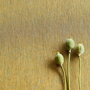 Eijffinger|Tapete indische Ornamente handgewebt|Tapeten 2