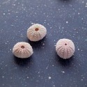 Eijffinger|Lilac porcelain stippled wallpaper|Wallpaper
